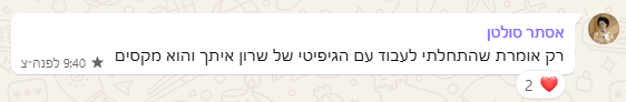 המלצה 1